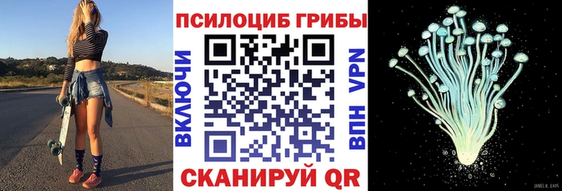 Псилоцибиновые грибы прущие грибы  Армавир 